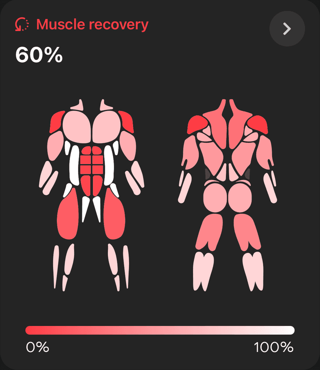 Muscle Recovery Stat